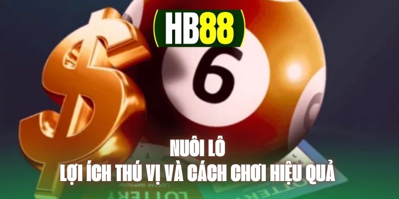 Nuôi Lô - Lợi Ích Thú Vị Và Cách Chơi Hiệu Quả