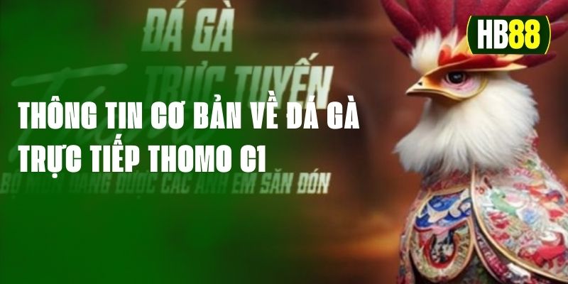 Đá gà trực tiếp thomo c1 với những thông tin cơ bản