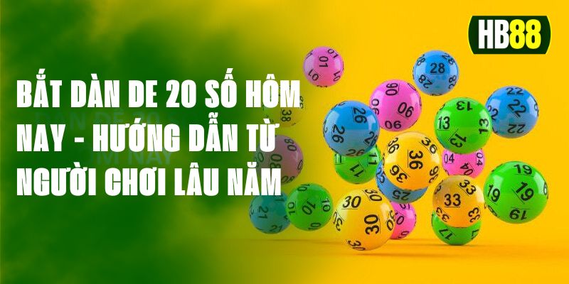 Bắt Dàn De 20 Số Hôm Nay - Hướng Dẫn Từ Người Chơi Lâu Năm