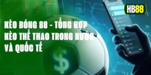 Kèo bóng 88 - Tổng hợp kèo thể thao trong nước và quốc tế