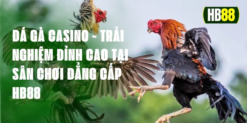 Da-ga-casino