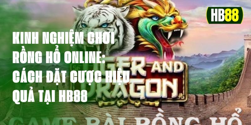 kinh nghiệm chơi rồng hổ online