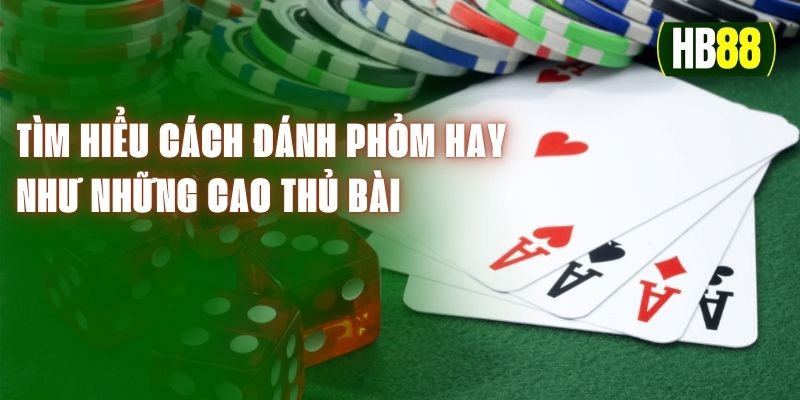 Tìm Hiểu Cách Đánh Phỏm Hay Như Những Cao Thủ Bài