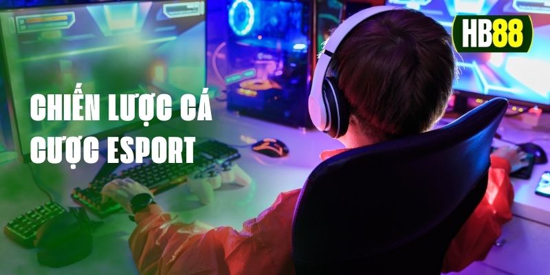 chien-luoc-ca-cuoc-esport